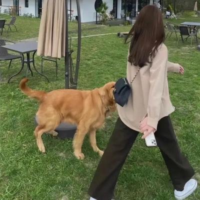 纸牌屋